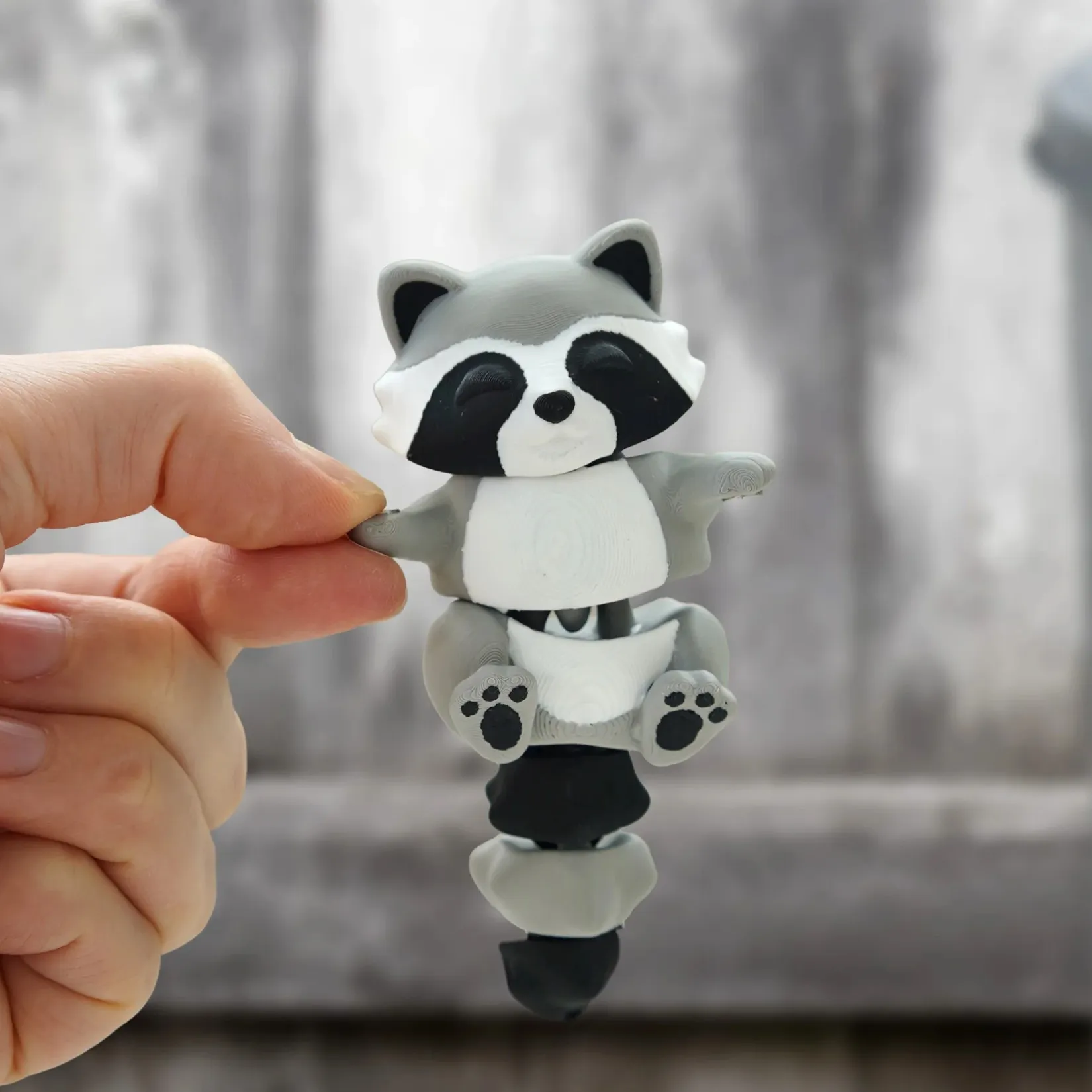 Zen Raccoon - Image 1